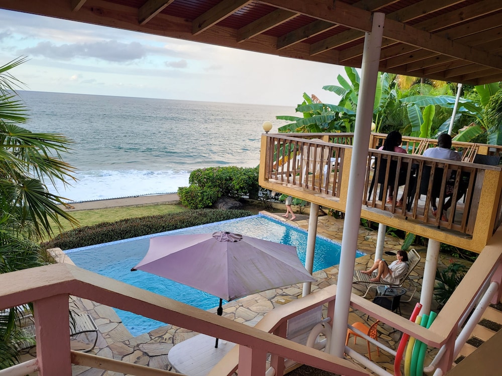 Birdie's Nest