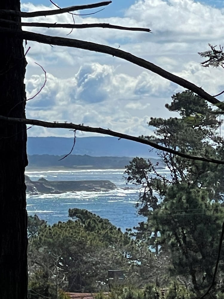 Rendezvous Mendocino