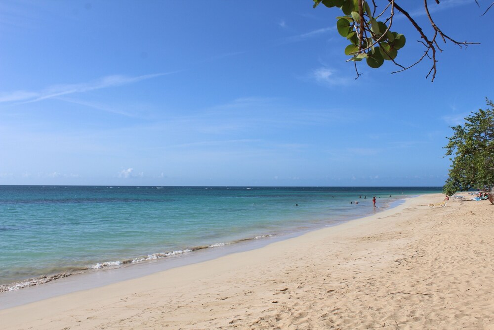 Afreeka Beach Hostel & Music Bar