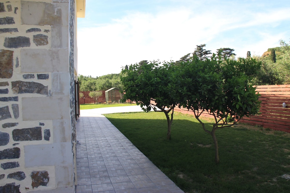 Photo 41