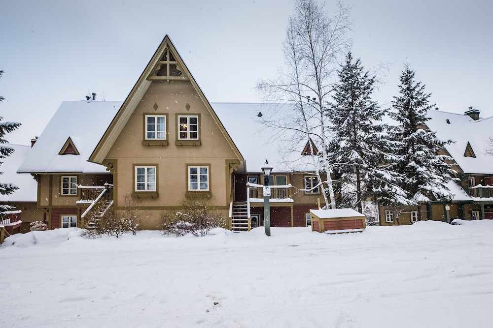 Le Plateau – RVMT - Image 4