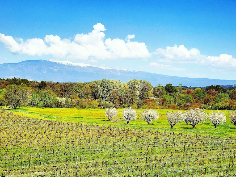 Domaine de La Brave