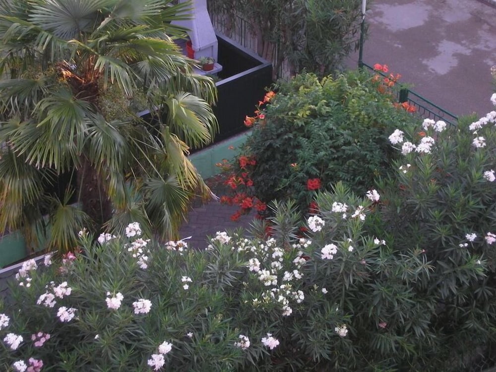Photo 33