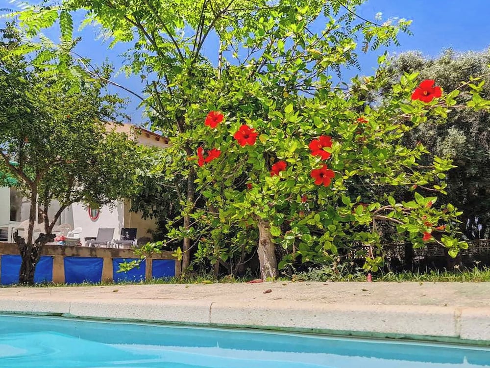 House With Exclusive Pool and Garden 7 min Walk From the Beach and the Center