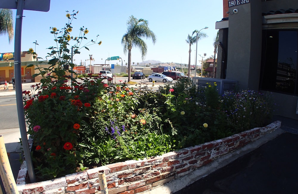 Corona Inn