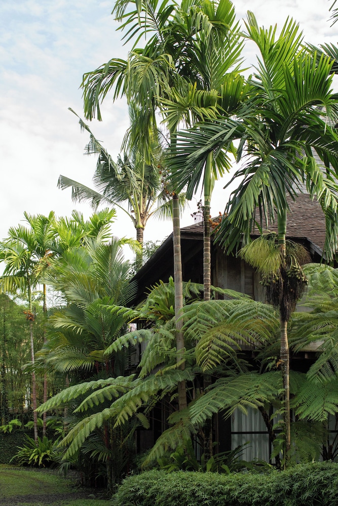 Rumah Hujan