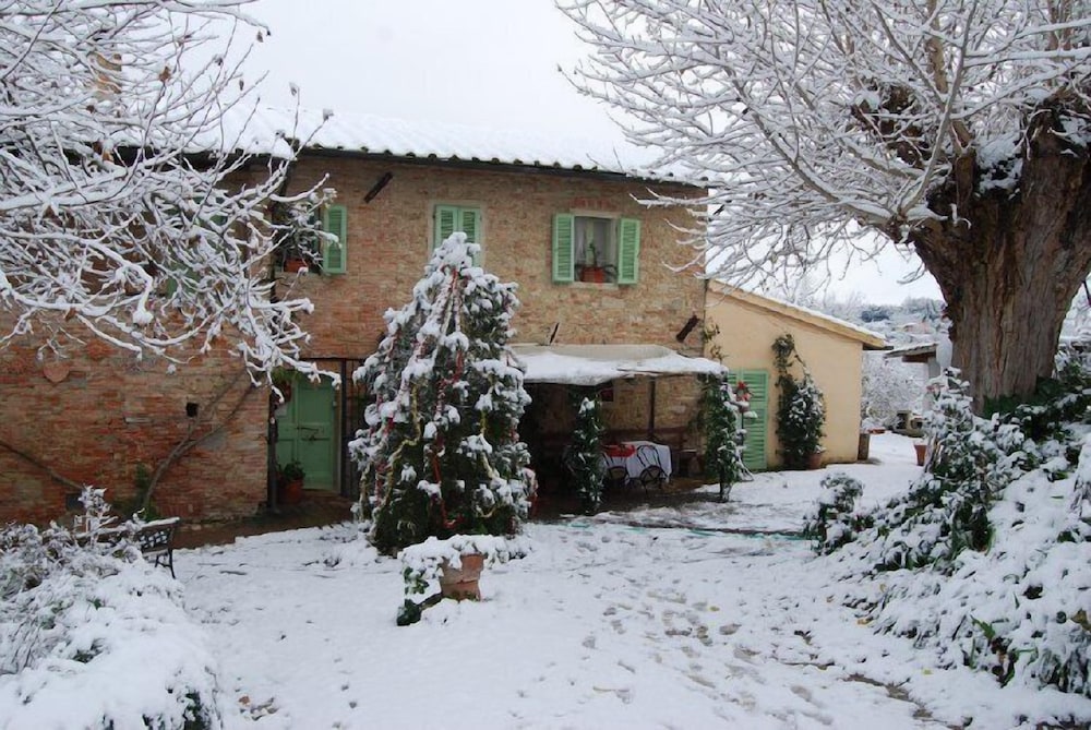 Tenuta il Pino