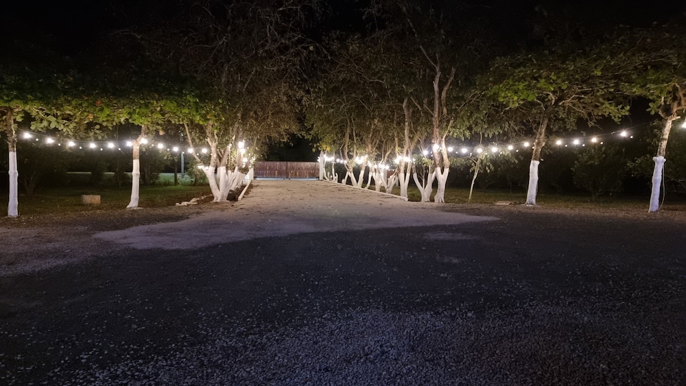 Angels Ecolodge