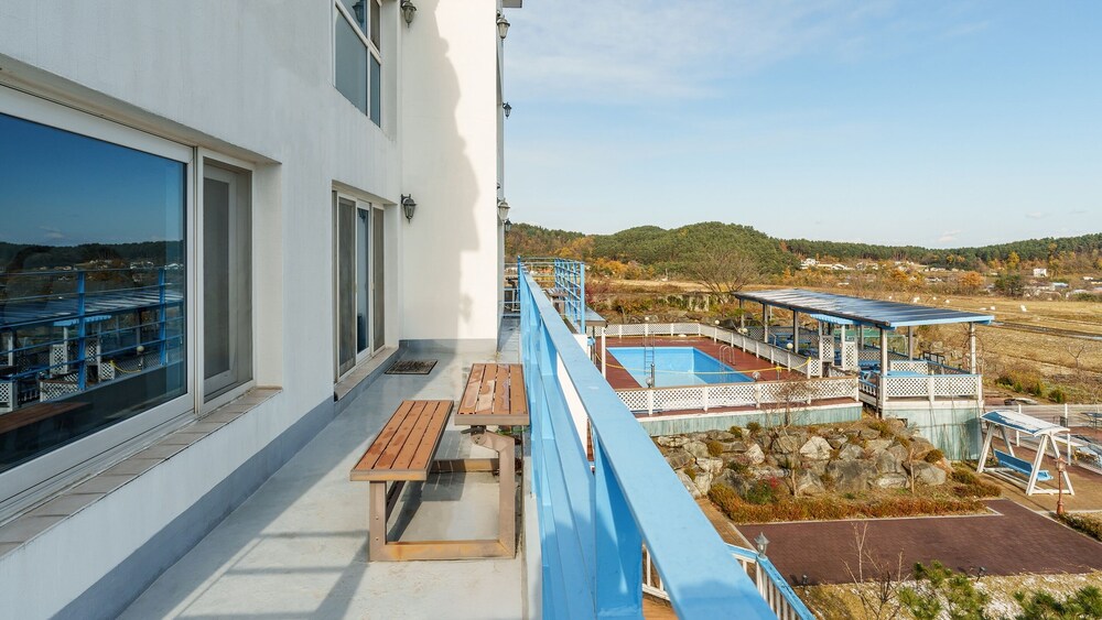 Yangyang Monti Pet Spa Pension