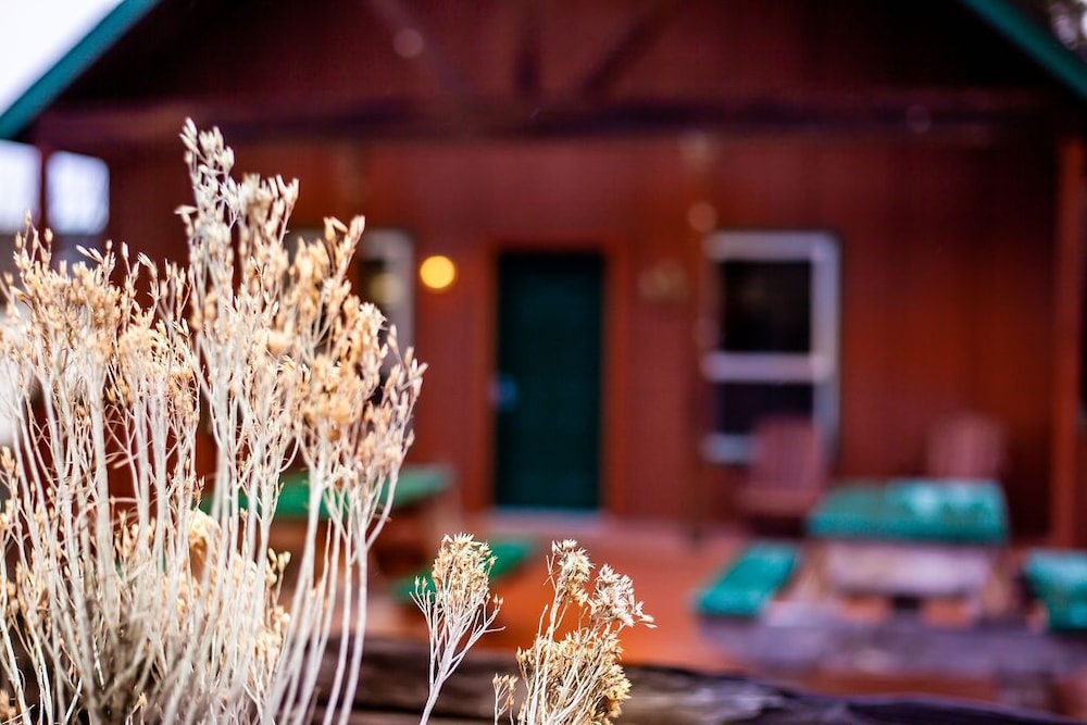 Photo 44