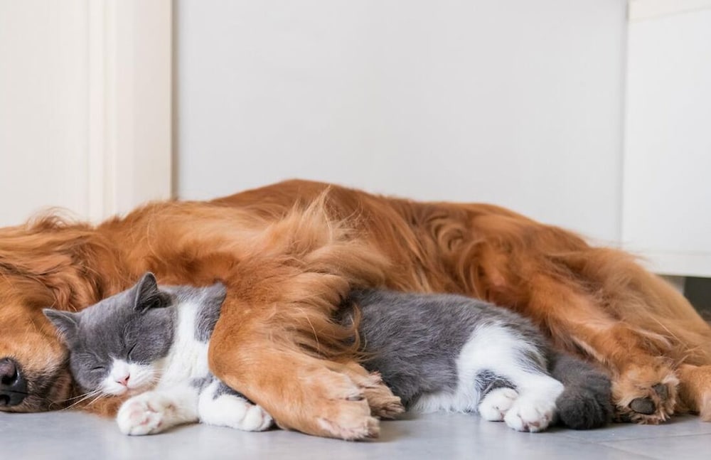 Ramada Resort by Wyndham Bodrum - Image 14