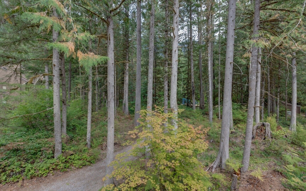 Glacier WA Mt Baker Vacation Rentals
