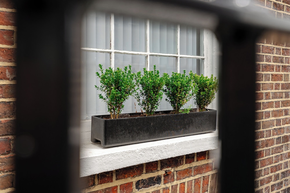 The Ivy House on Clarendon