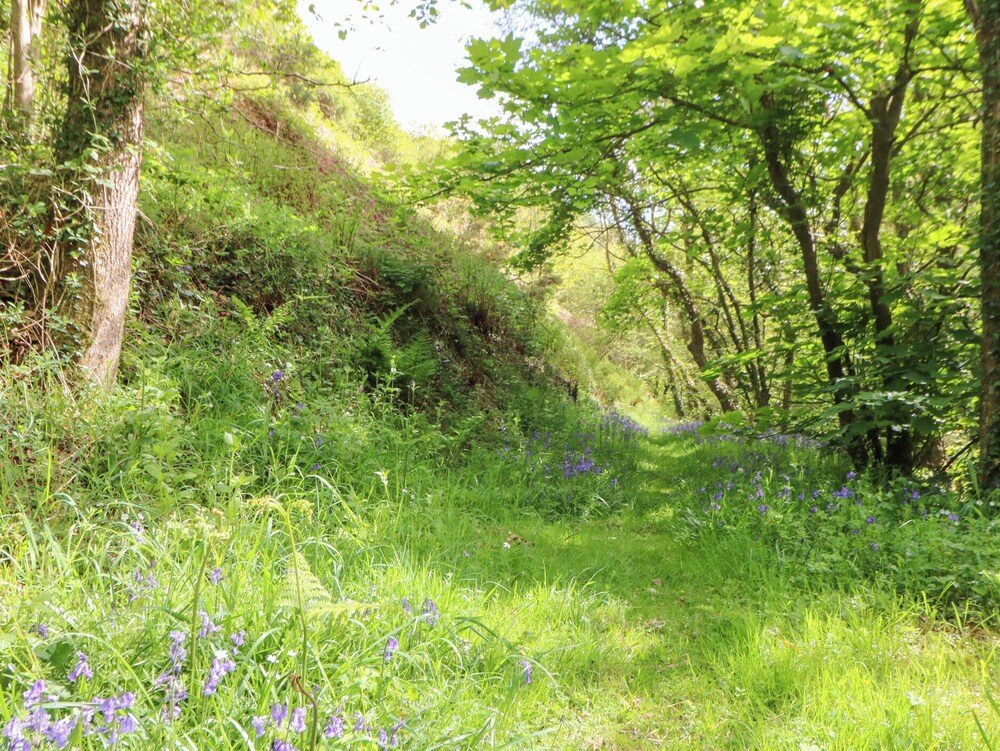 Glyn Yr Efail