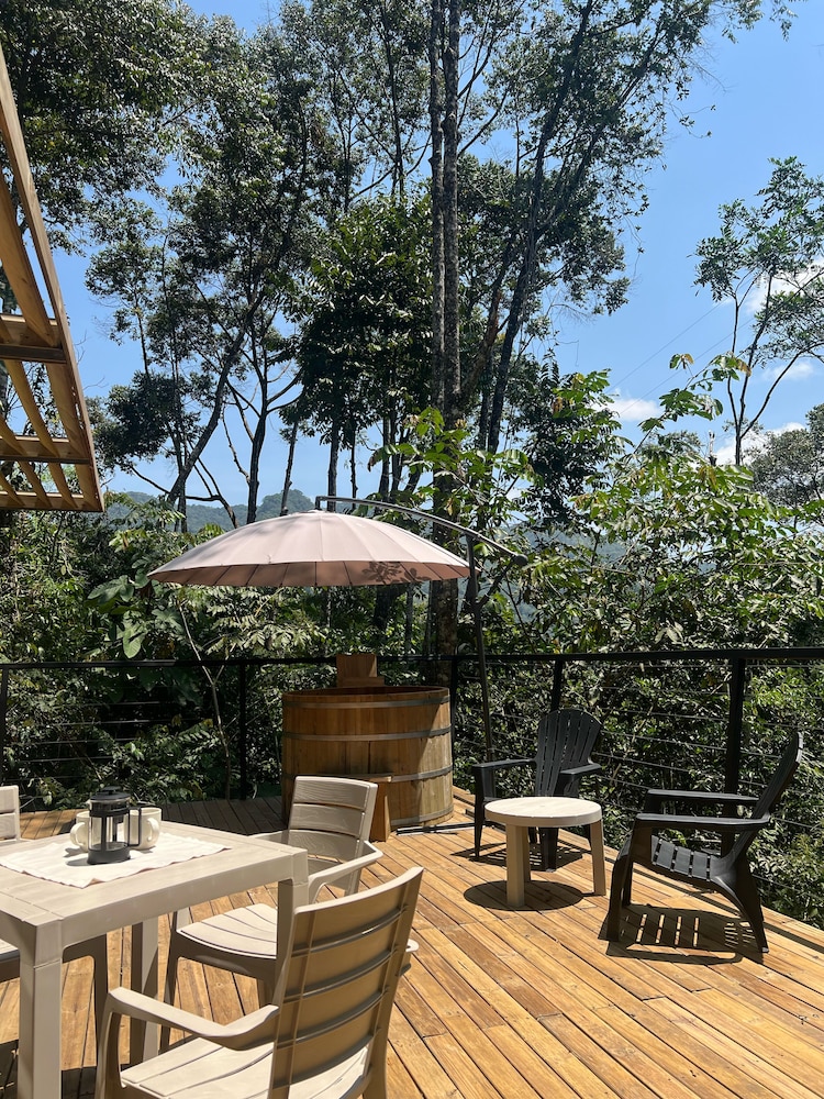 Silvery Bungalows en el Bosque