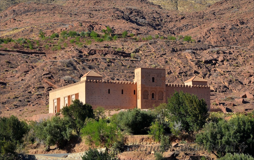 Mohatirste