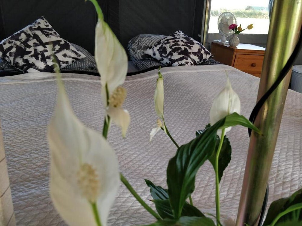 Godaland Glamping