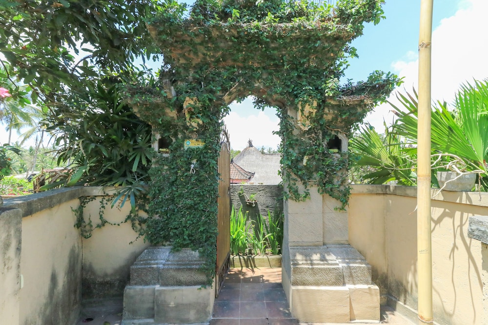 Photo 43