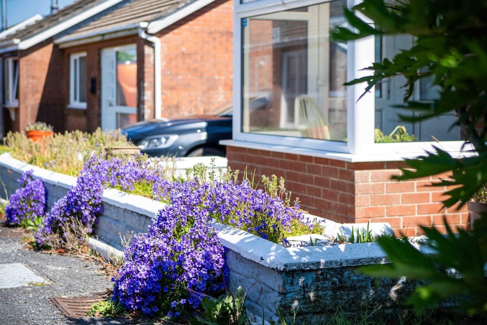 Cosy Cottage - 2 Bedroom Cottage - Mumbles