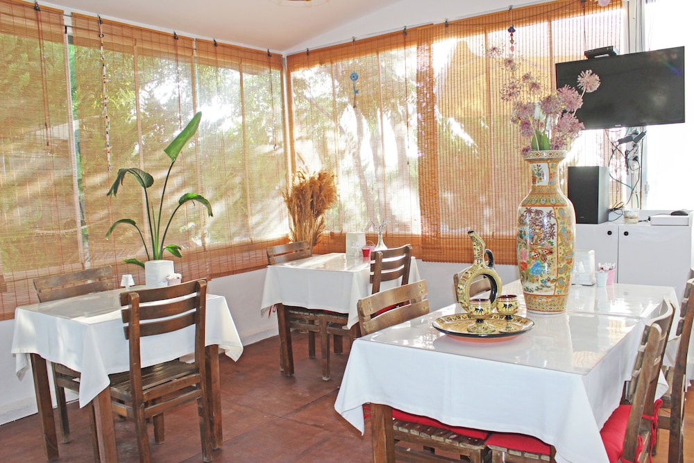Karina Vineyard Evi - Image 10