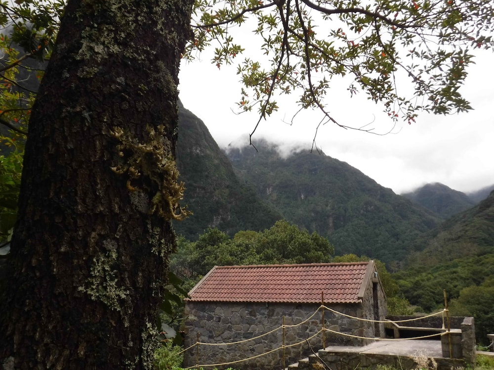 Nature inn Madeira - Glamping