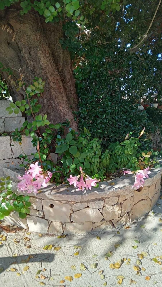 Richiami di Sicilia