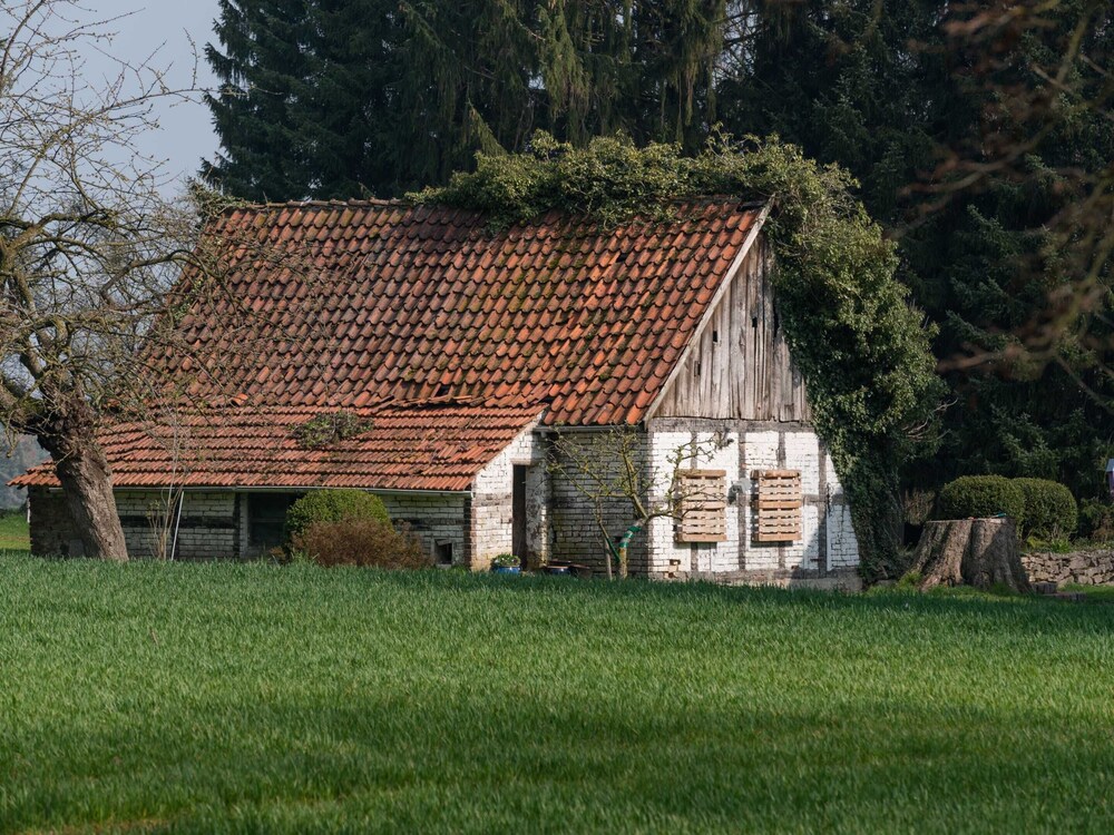 Photo 31