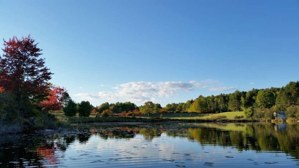 Barry's Bay Golf Resort