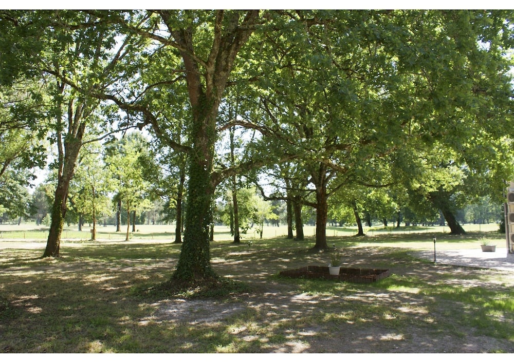 Domaine du Bois Seguin view 5