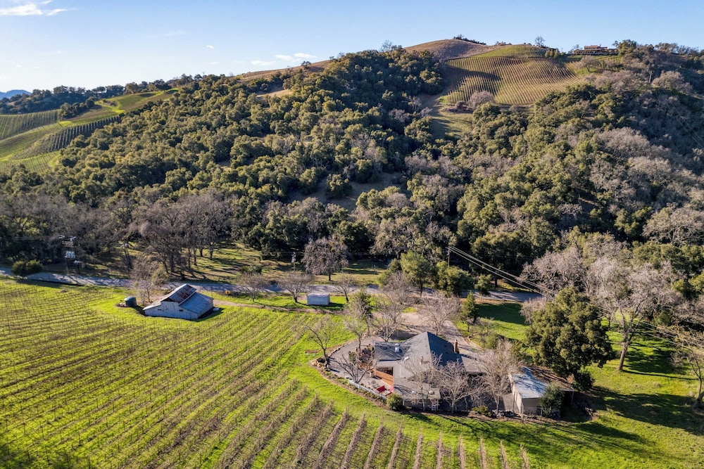 Luxury Wine Country Haven + Vineyard Views Near Top Wineries Adelaida Farmhouse