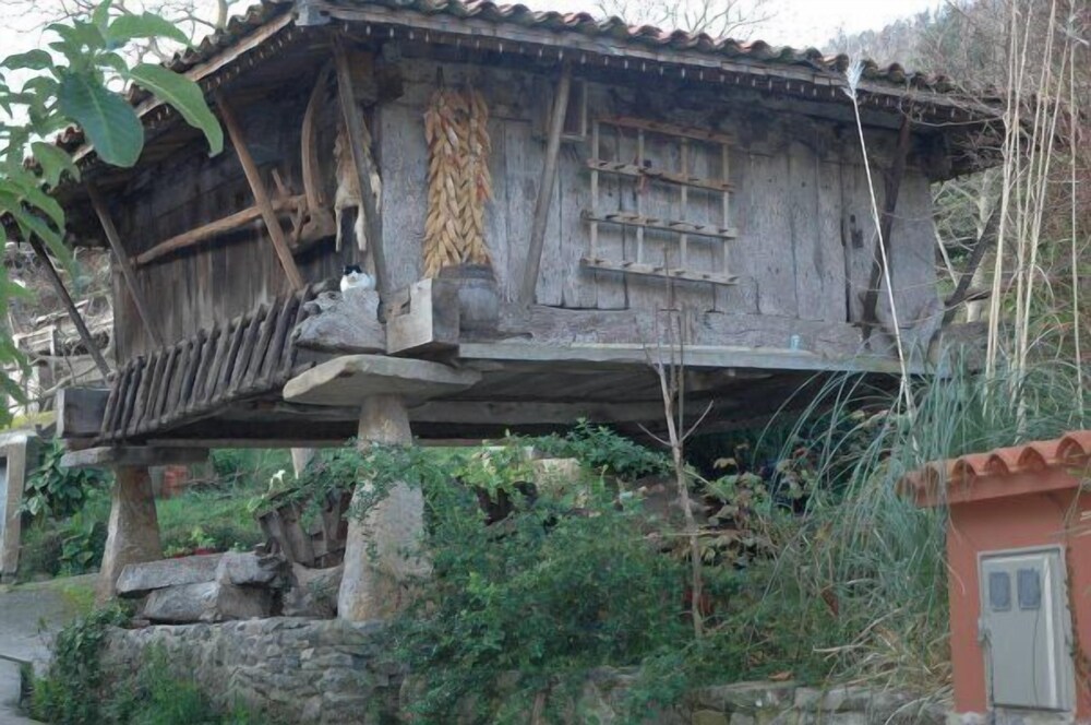 Casa Inés
