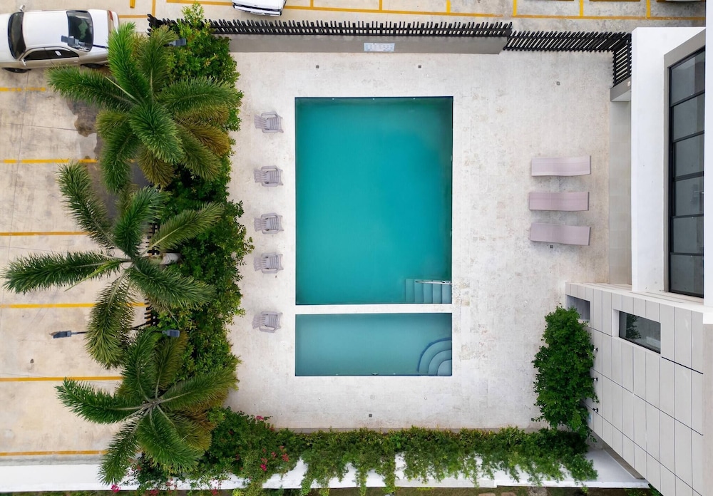 Dream Stay - Pool & Gym - 10min Airport & Homs