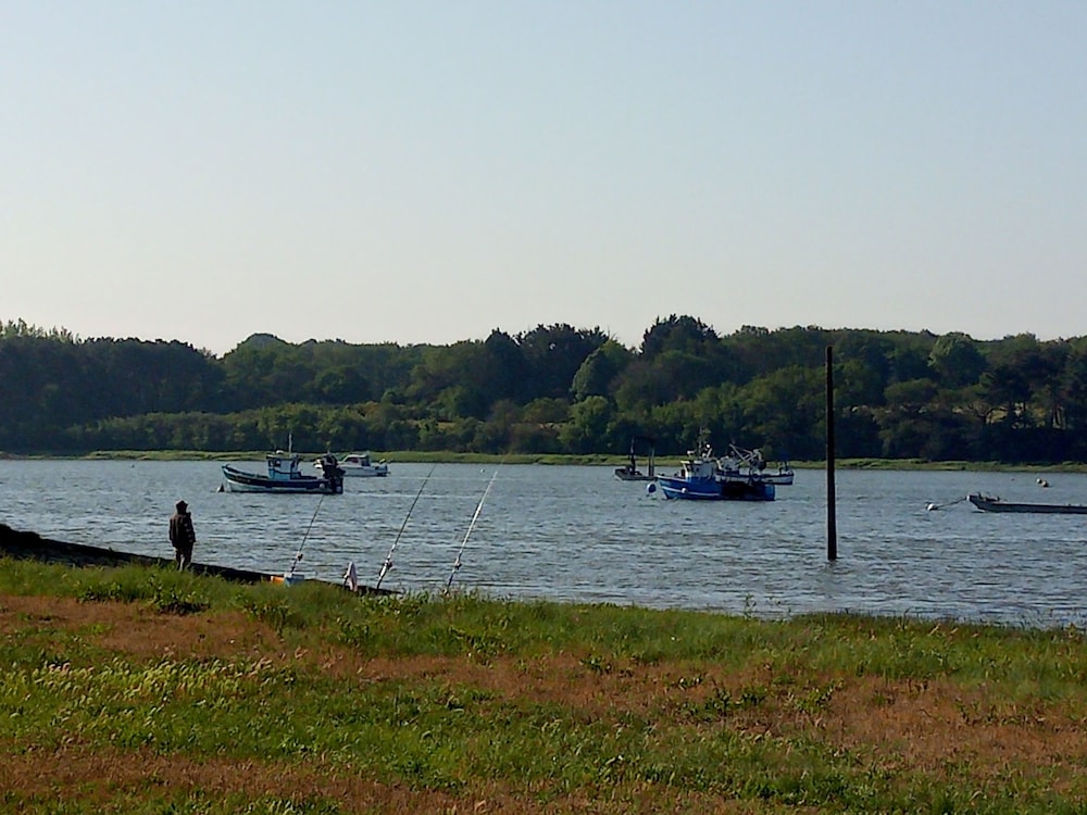 Photo 43