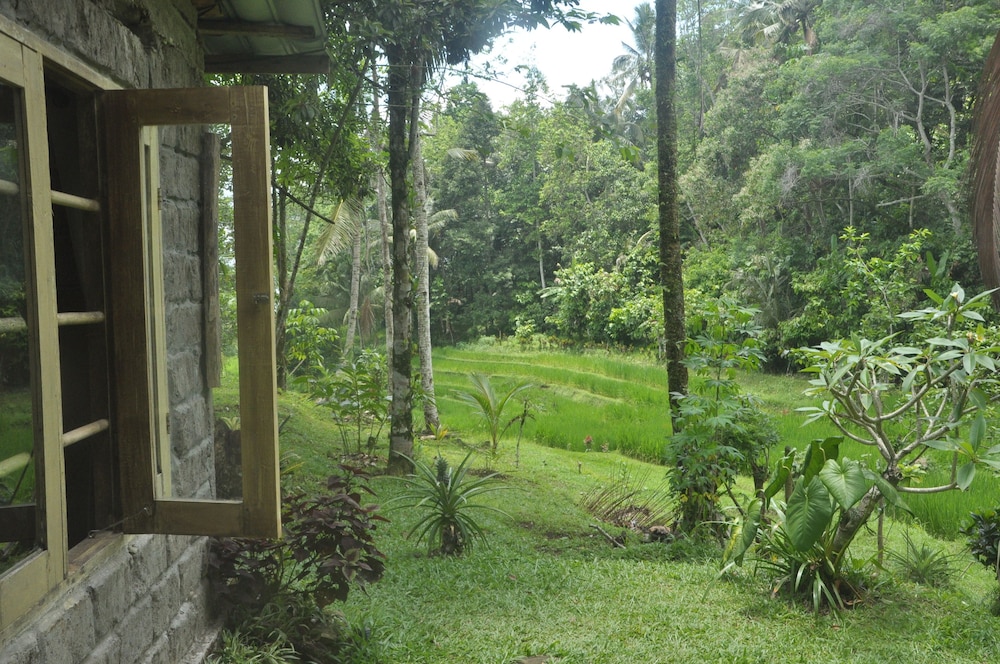 Tepi Sawah Lodge