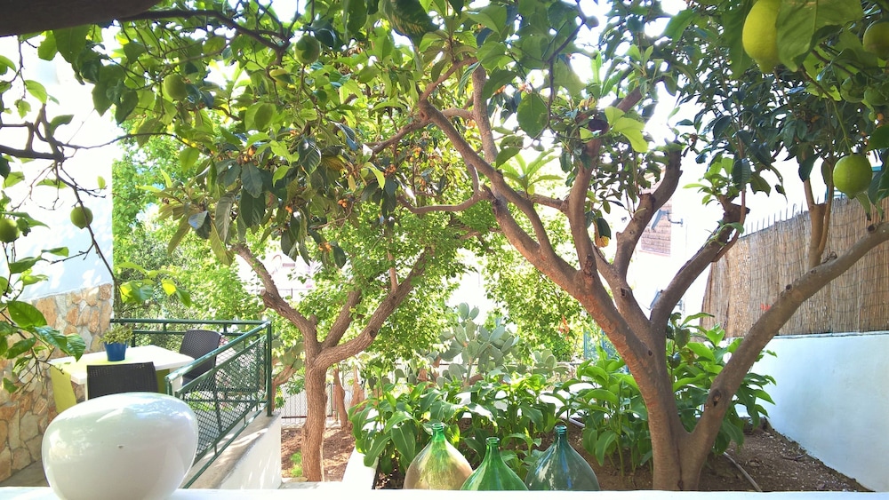 B&B e Case Vacanza - La Rosa dei Venti view 4