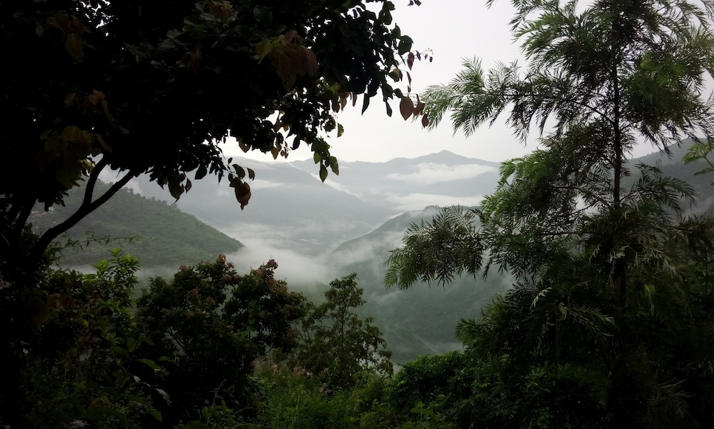 Auranya - The Himalayan jungle retreat view 5