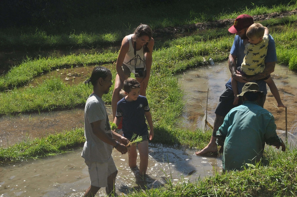 Tepi Sawah Lodge