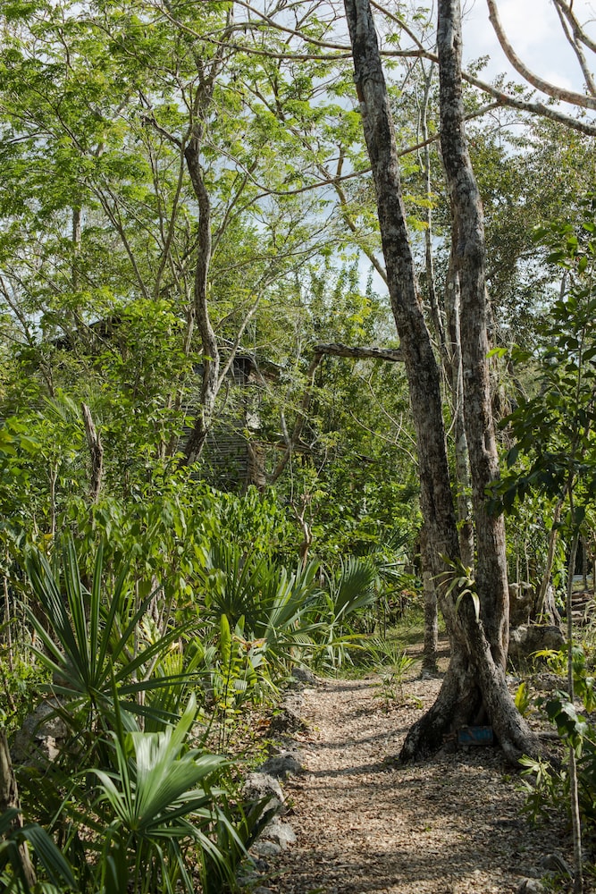 Photo 25