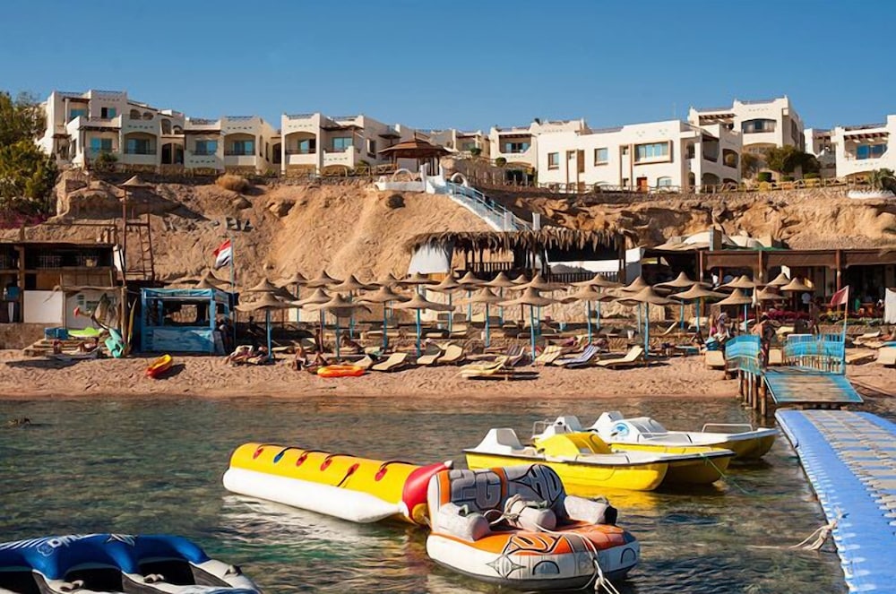 Shark Bay Oasis