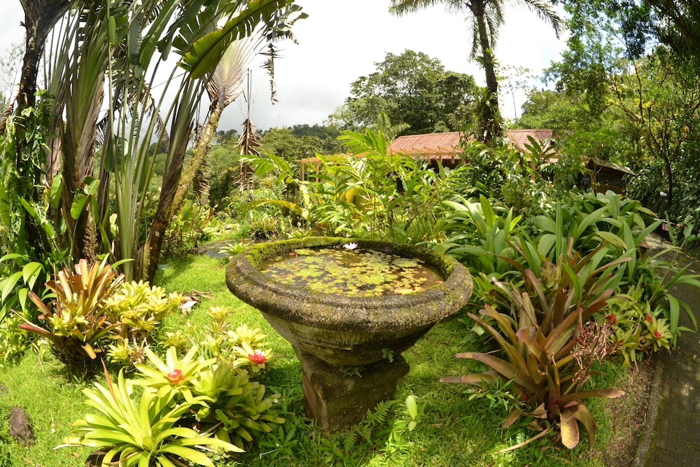 Photo 44