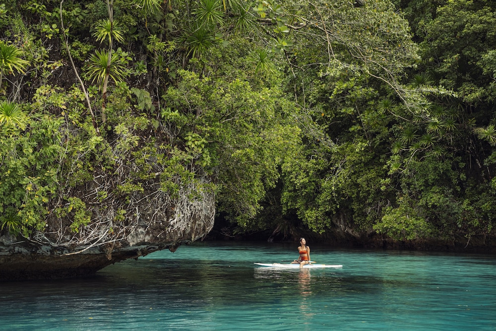 Four Seasons Explorer, Palau - Cruising Resort view 5