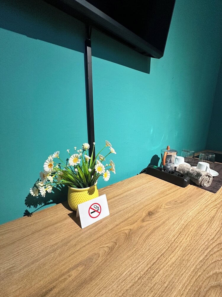 SA Studio 24