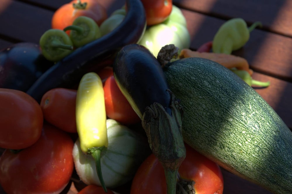 Agios Nikolaos Vacations - Elounda Solfez Villas - Property Image 29