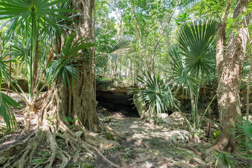 Attha Cenote Luxury Condo - Property Image 107