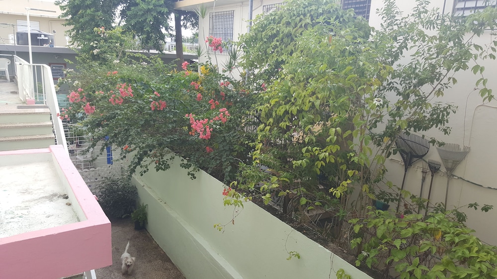 Beautiful Alondra San Juan Apartments