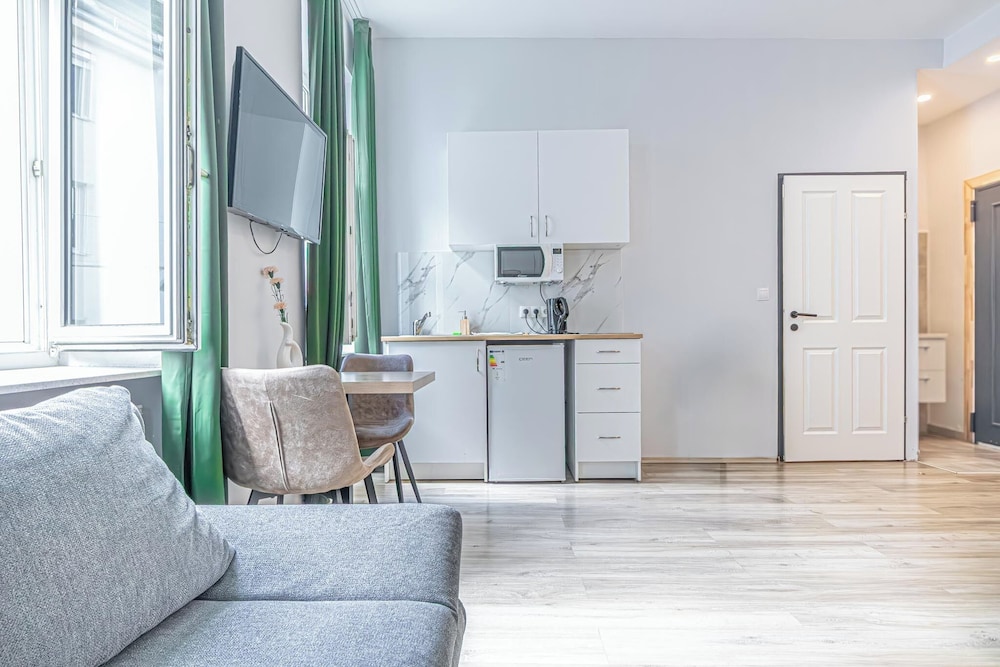 9BR Apts in the Heart of Vienna