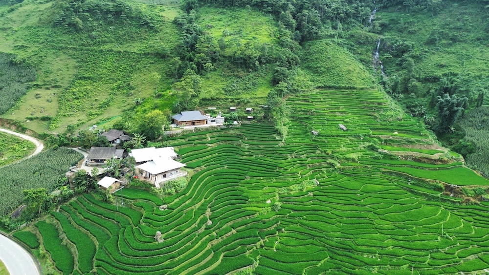 Bees Homestay Sapa & Trekking