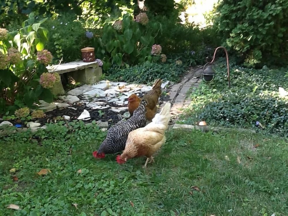 Milwaukee Vacations - Manderley Bed and Breakfast - Property Image 42