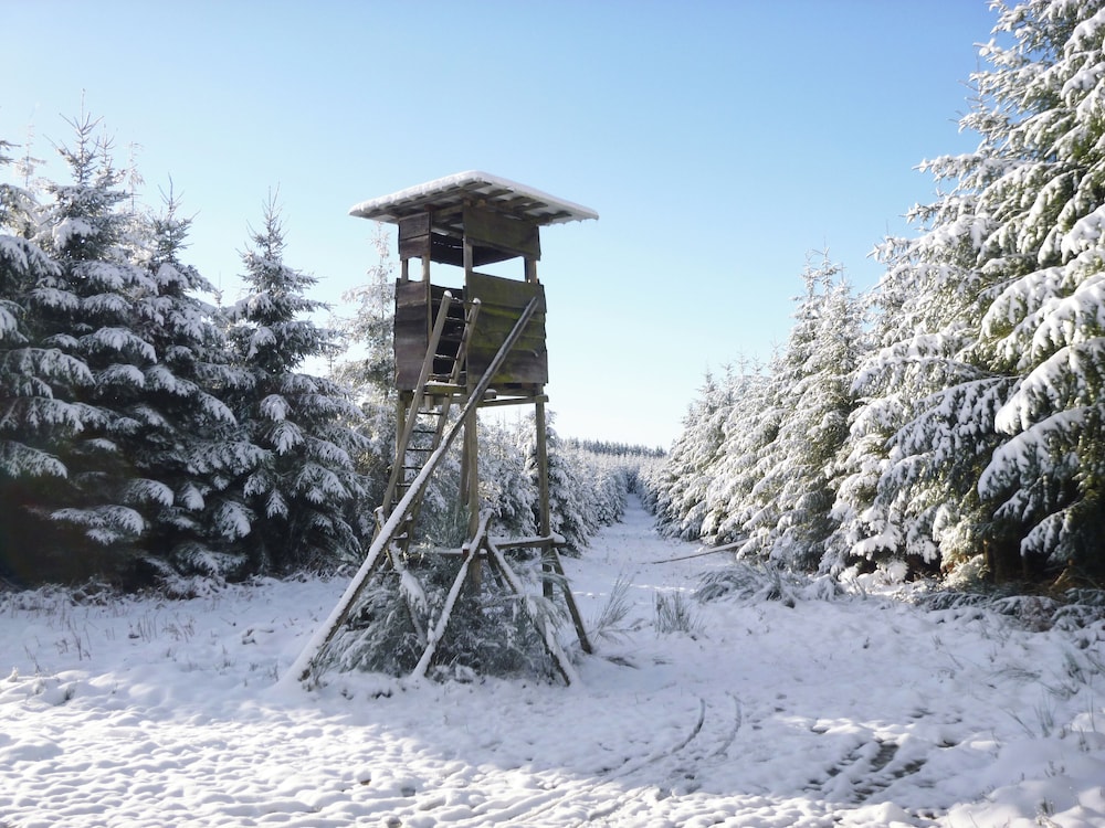 Cha Cha de Loup B&B - Vakantiewoning