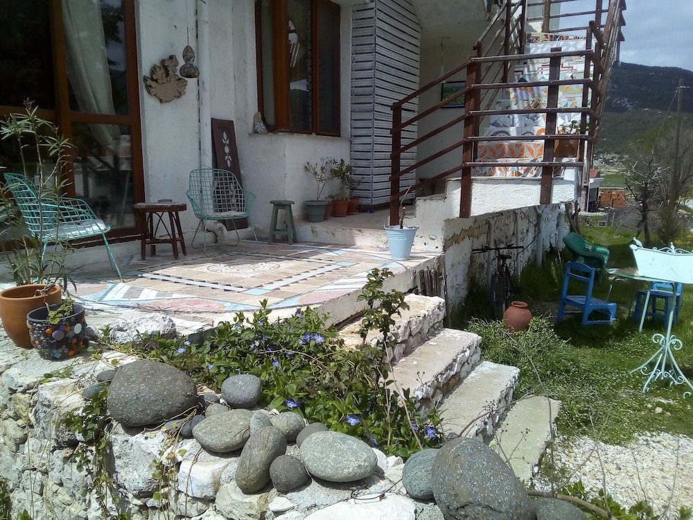 Photo 12